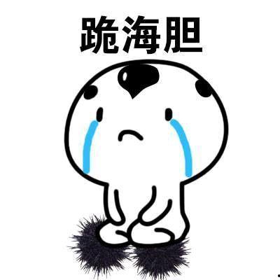 十分抱歉图片,深度解析“十分抱歉”图片背后的故事